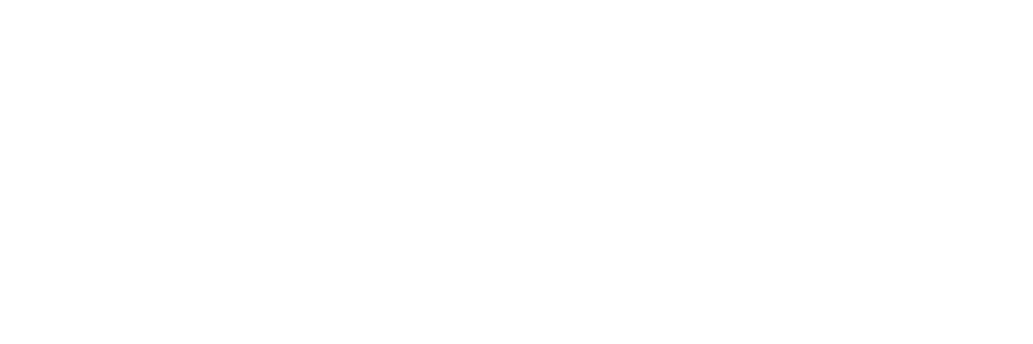 Adyen logo